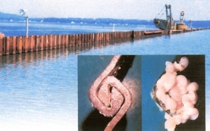 pilelock